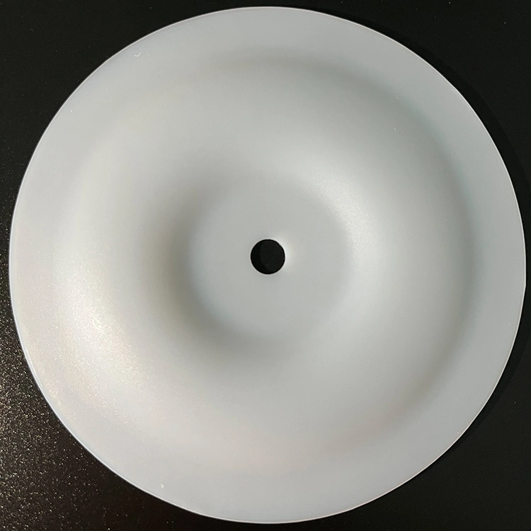 Wholesale Wearable Pump Replacement Diaphragm Sealing Parts PTFE Diaphragms for Painting Pump